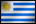 Flag for UY