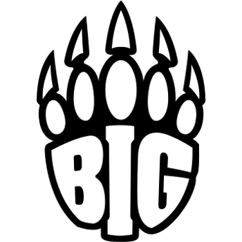 Logo for BIG