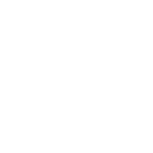 Logo for Ninjas in Pyjamas