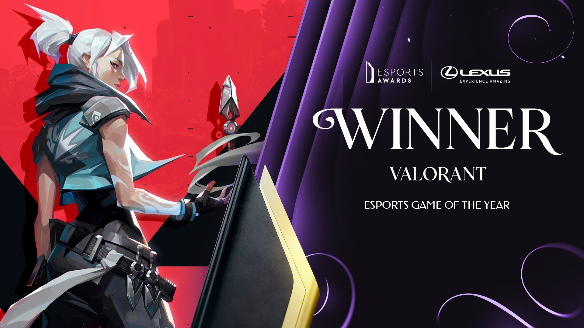 Esports Game of the Year: Valorant