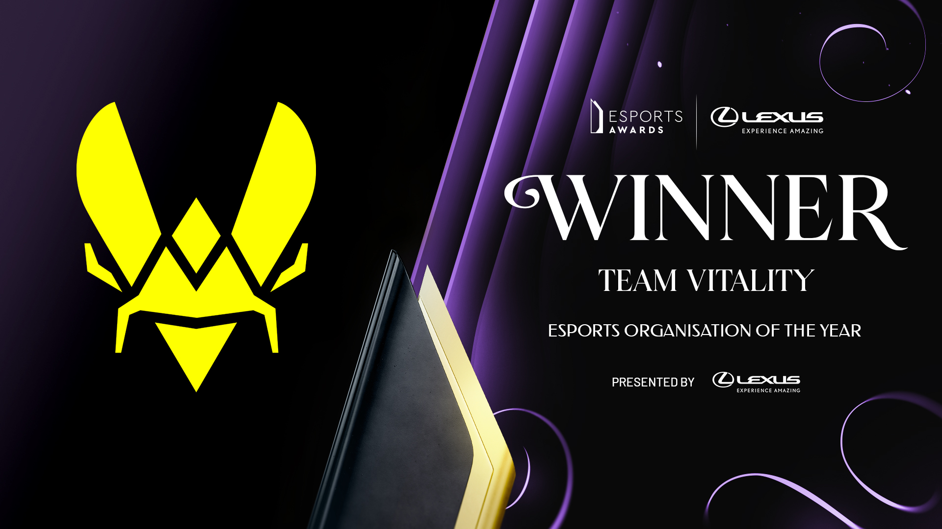 Esports Organisation of the Year: Team Vitality
