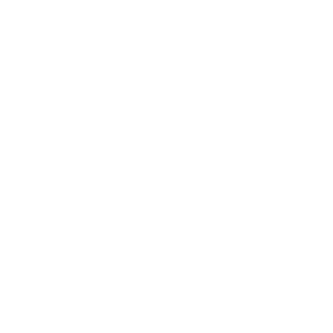 Logo for Paper Rex