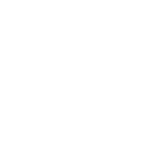 Logo for Team Secret
