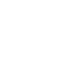 Logo for Shopify Rebellion