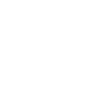 Logo for ZETA DIVISION