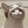 esarwhy