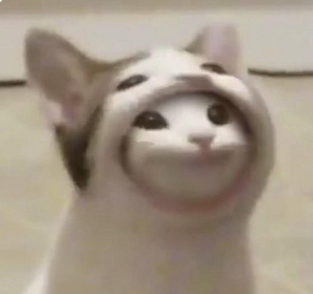 esarwhy